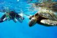 Oahu Snorkeling Activities
